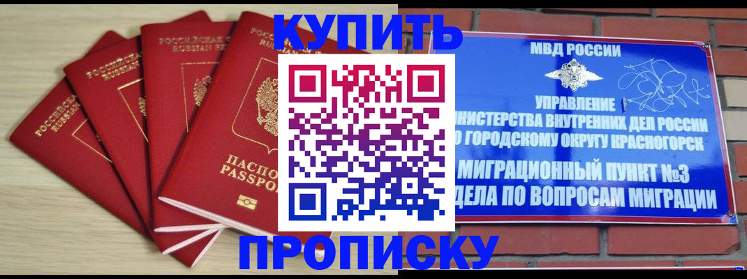 миграционный учет в Московской области